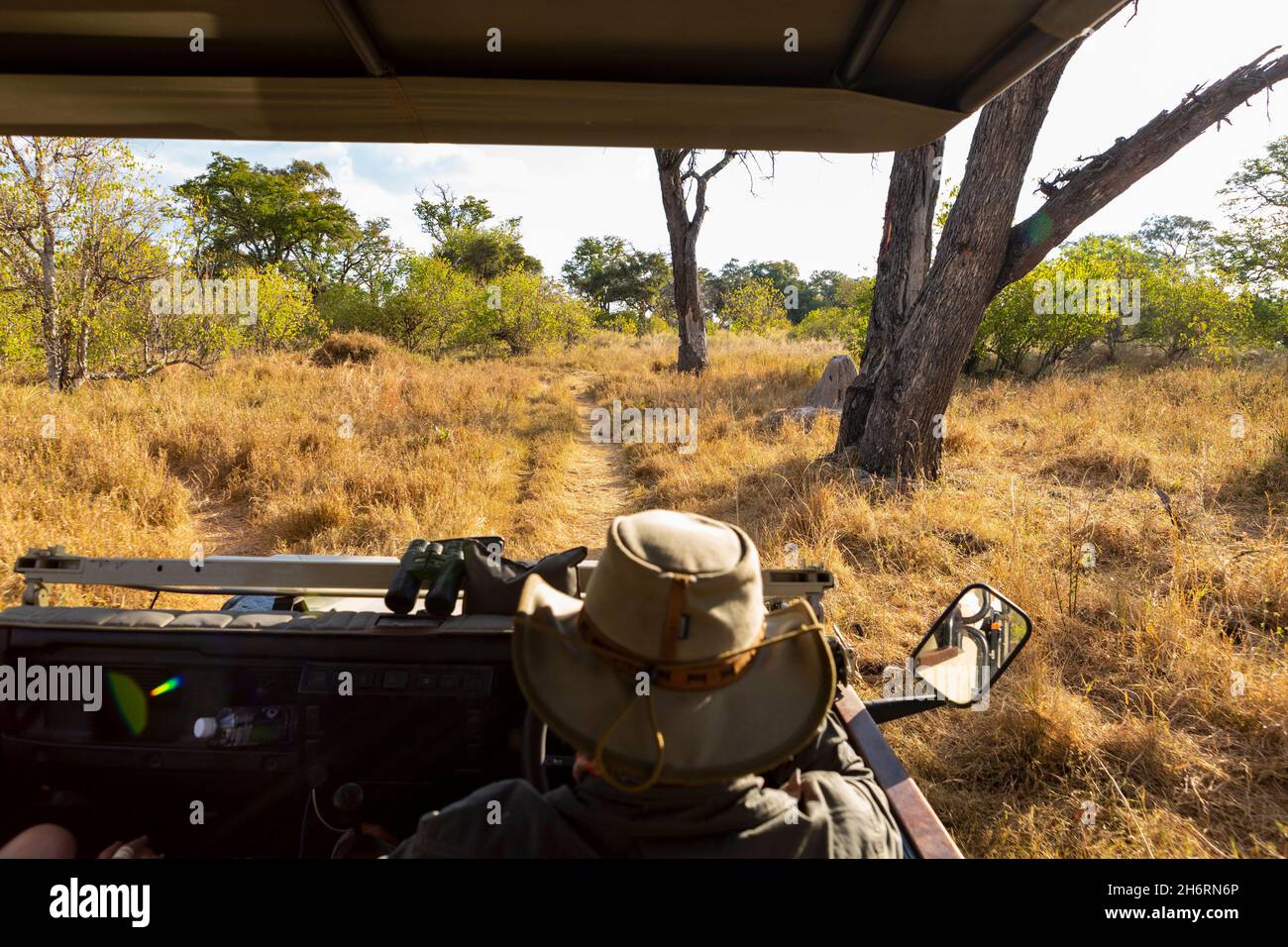 A safari guide in a bush hat at the wheel of a jeep, an elephant in the distance. Stock Photo