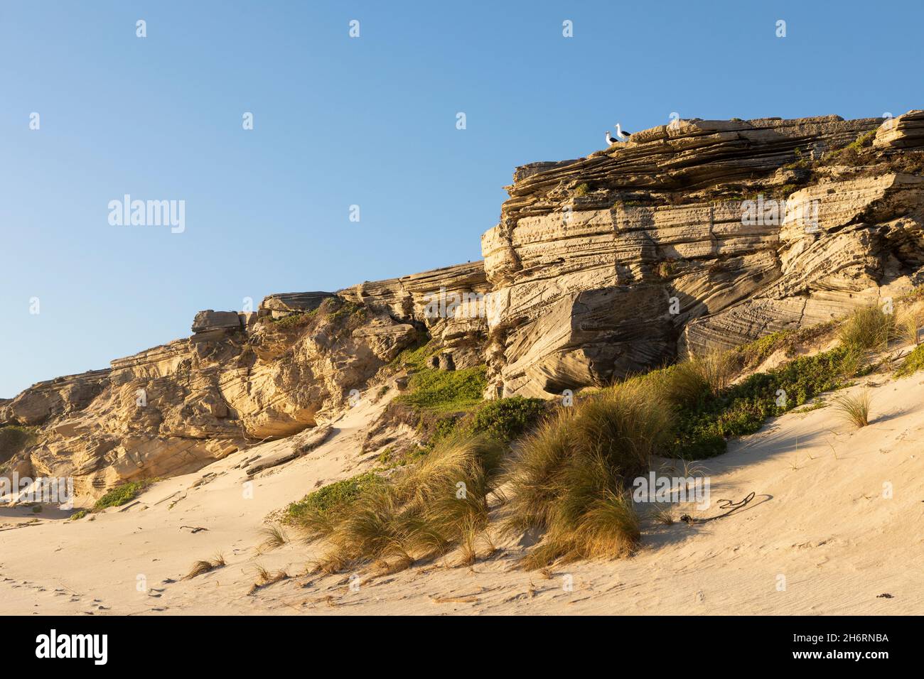 Cliffs above a sandy beach with layered rocks, two seagulls perched at the top. Stock Photo