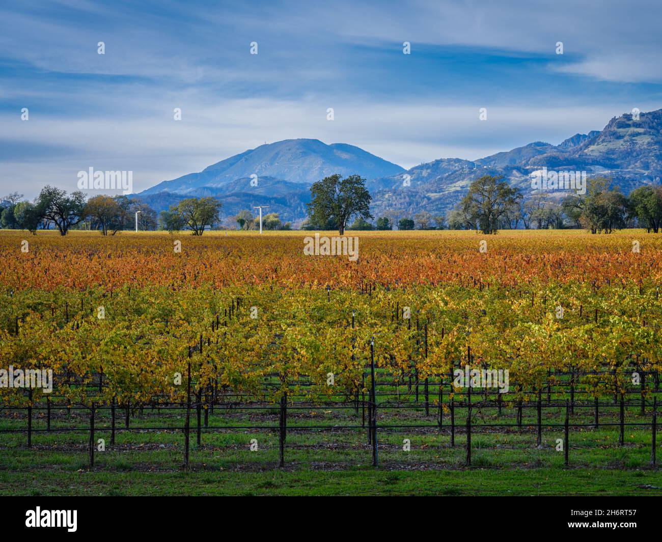 Mt Helena in Napa Valley amongst the vineyards in autumn Stock Photo