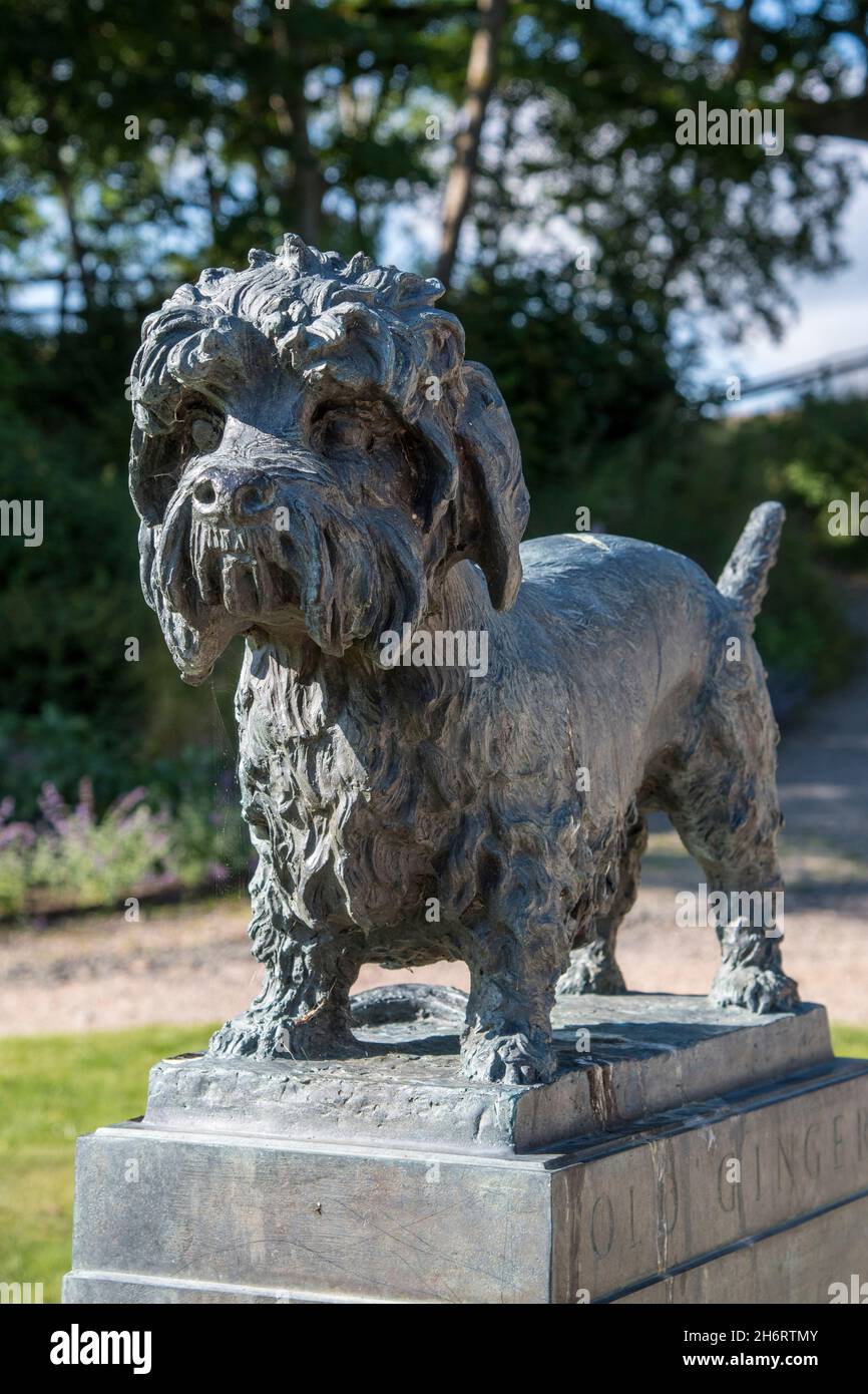 Old Ginger Dandie Dinmont statue at The Haining Selkirk Stock Photo