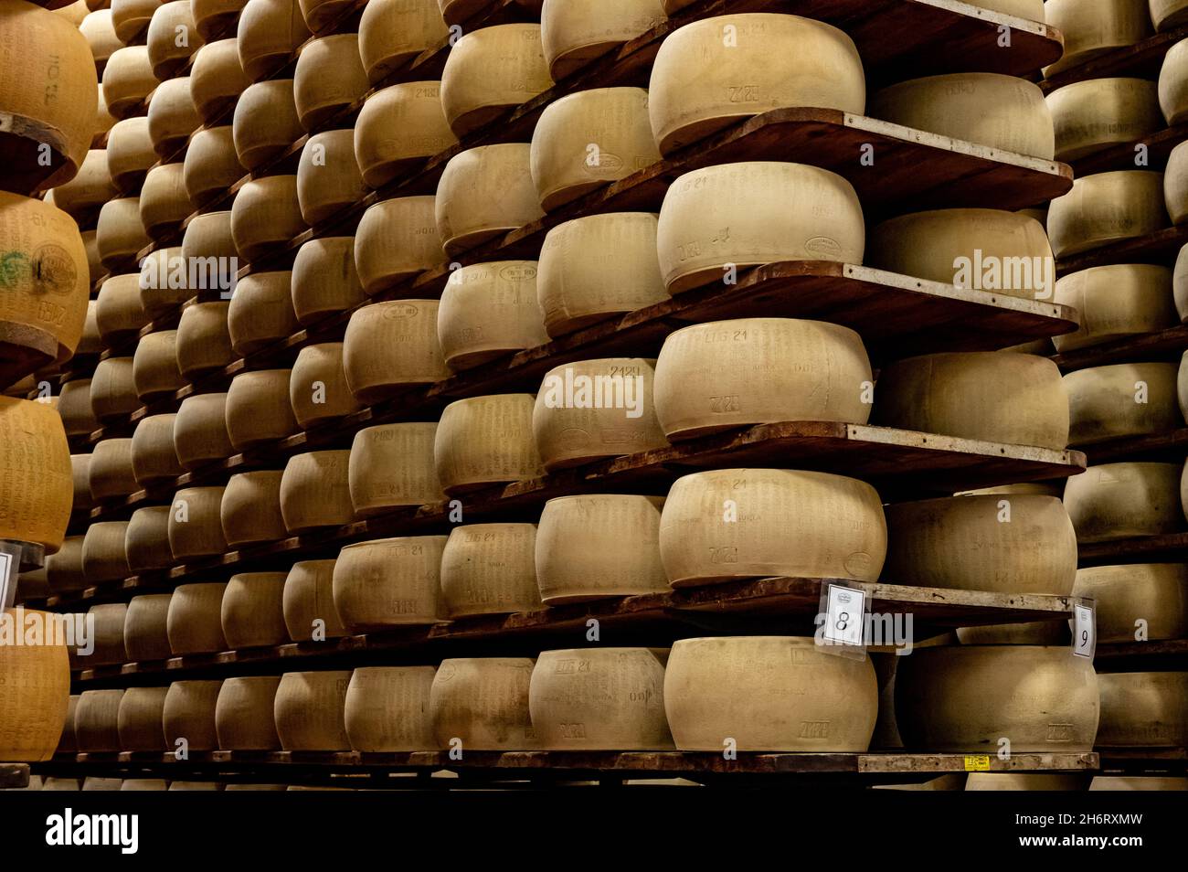 Process of making parmigianoreggiano parmesan hard cheese on small