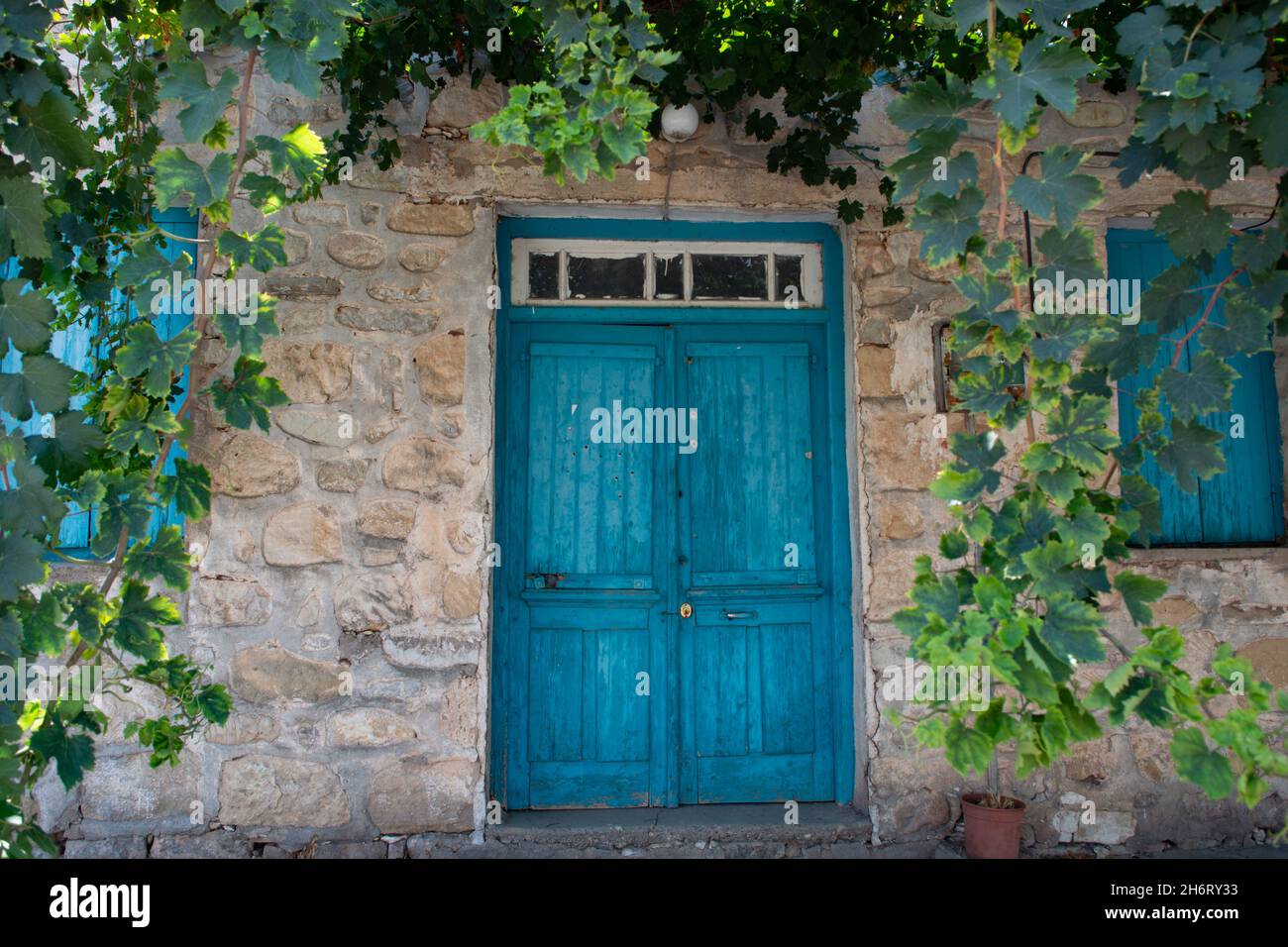 Old blue wooden door in small cypriot village and grapes plant Stock ...