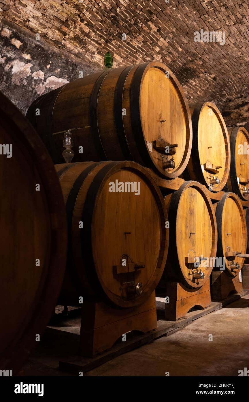 Medieval underground wine cellars with old red wine barrels for aging