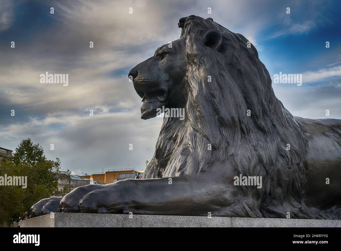 lion statues trafalgar square Stock Photo - Alamy