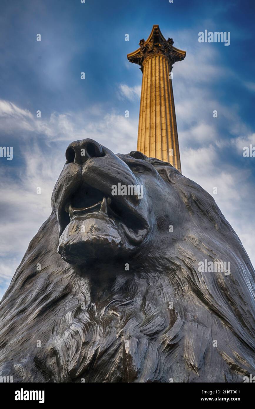 lion statues trafalgar square Stock Photo Alamy