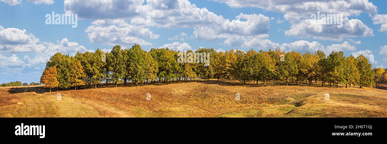 Autumn landscape, panorama, background - view of a hill covered with ...