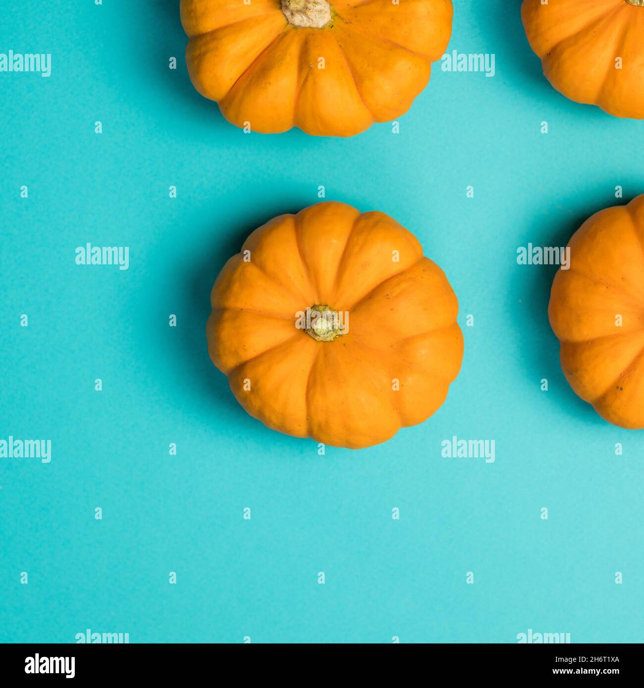 Mini orange pumpkins on teal backdrop Stock Photo
