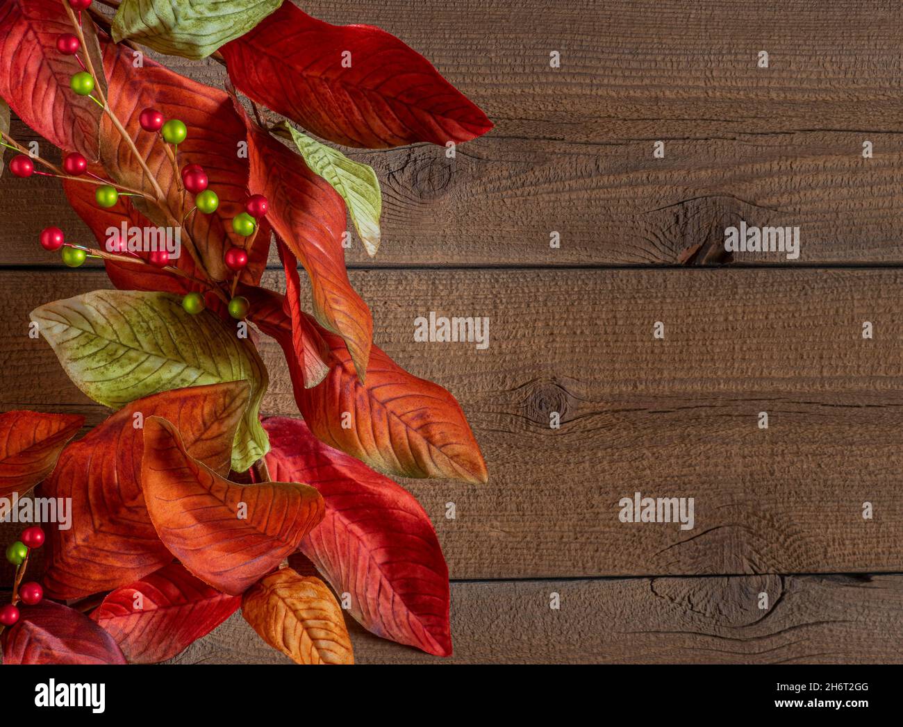 Autumn and Christmas colors fill a leafy wreath on a wooden background, Good for fall and Christmas both. Stock Photo