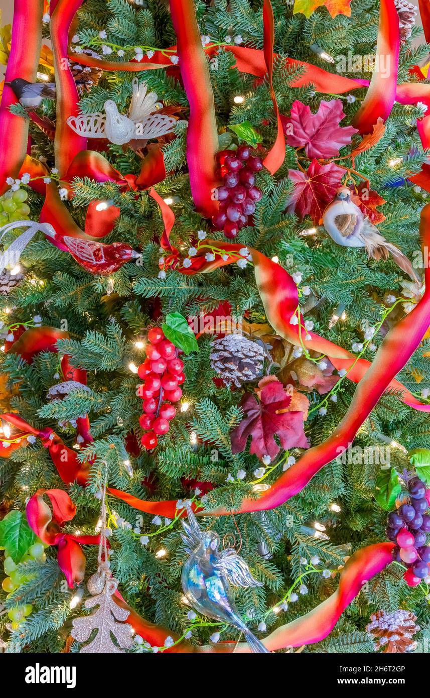 Birds, grapes,  fall leaves and ribbon garland fill a Christmas tree, good for autumn and Christmas. Stock Photo