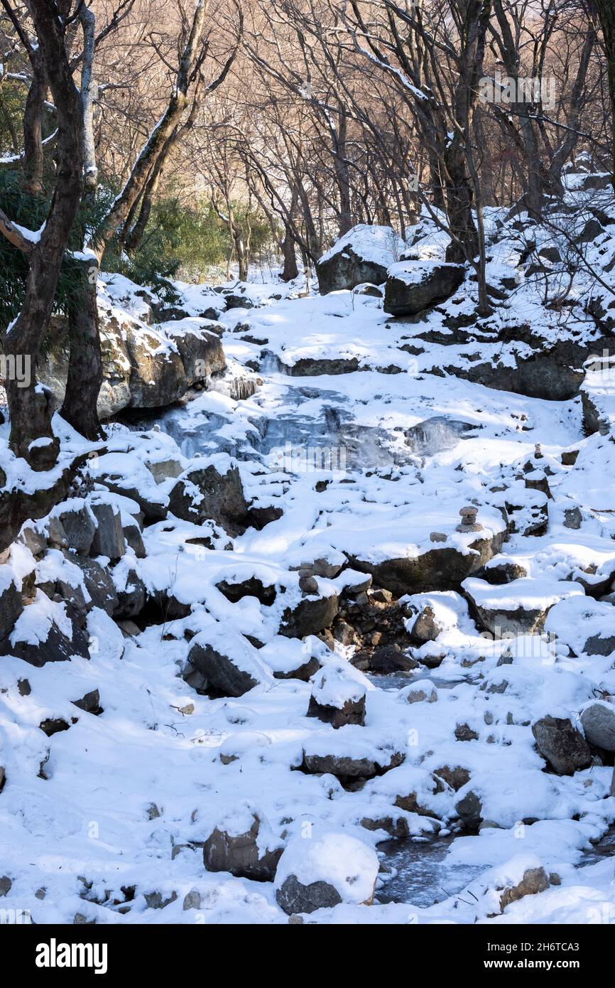 Covered white frozen snowy hi-res stock photography and images - Alamy