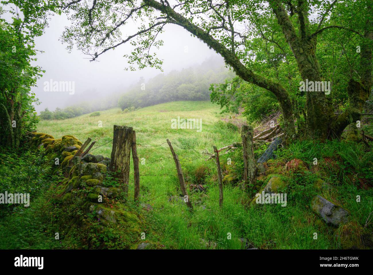 Decrepit fence of wire and stone wall in a mountain pasture meadow in Ancares Mountain Range in Cervantes Lugo Galicia Stock Photo