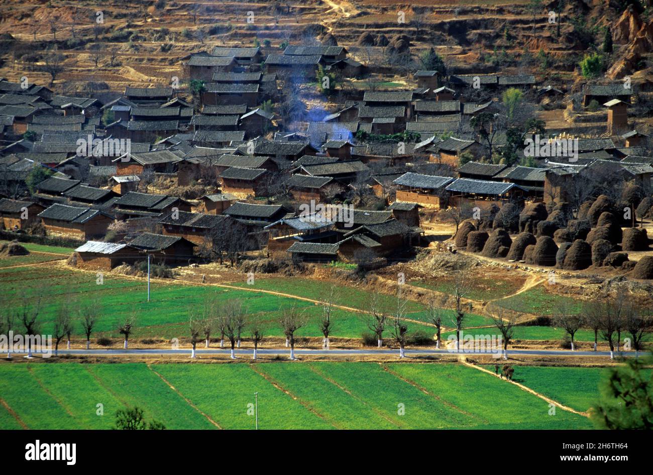 Dali District Local Professional Archetypes for Recovery
