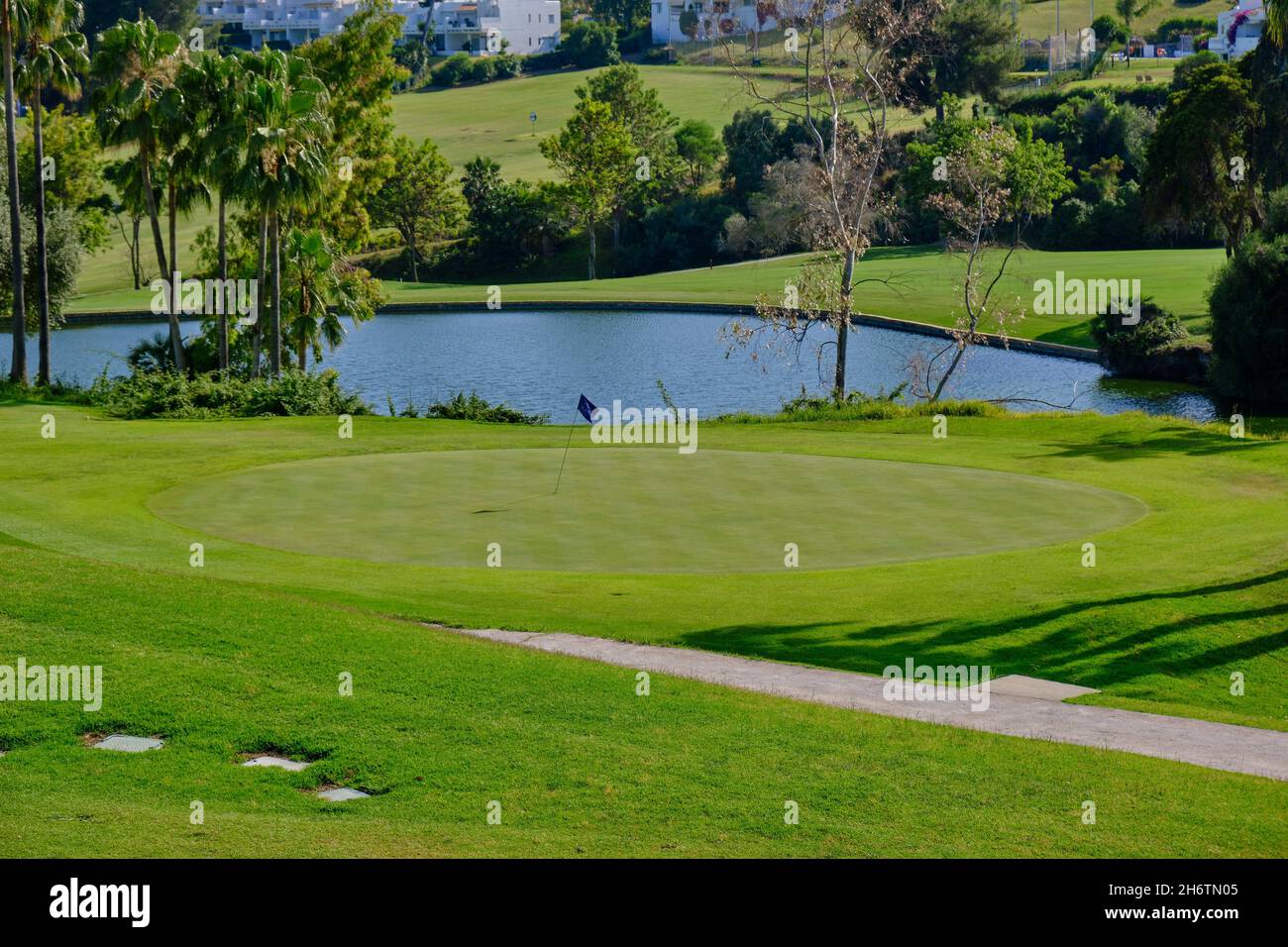 Beautiful golf course with green grass, different types of trees, and a ...