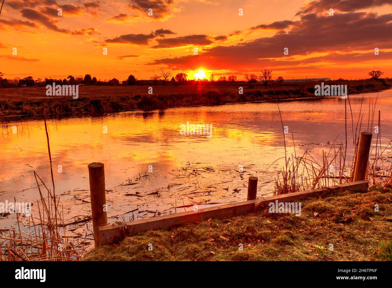 Sunset Bridgwater and Taunton canal Somerset evening England uK Stock Photo