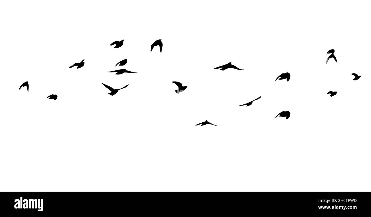 A flock of birds flying in the sky. Vector illustration Stock Vector