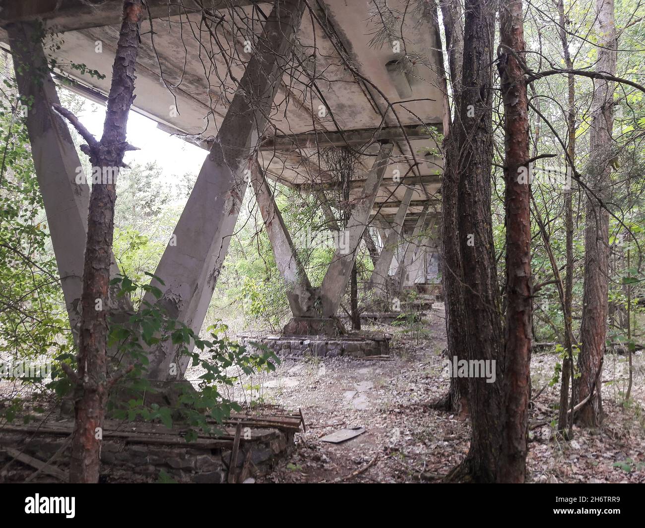Dry trees under an abandoned dilapidated non-working concrete bridge in the forest Stock Photo