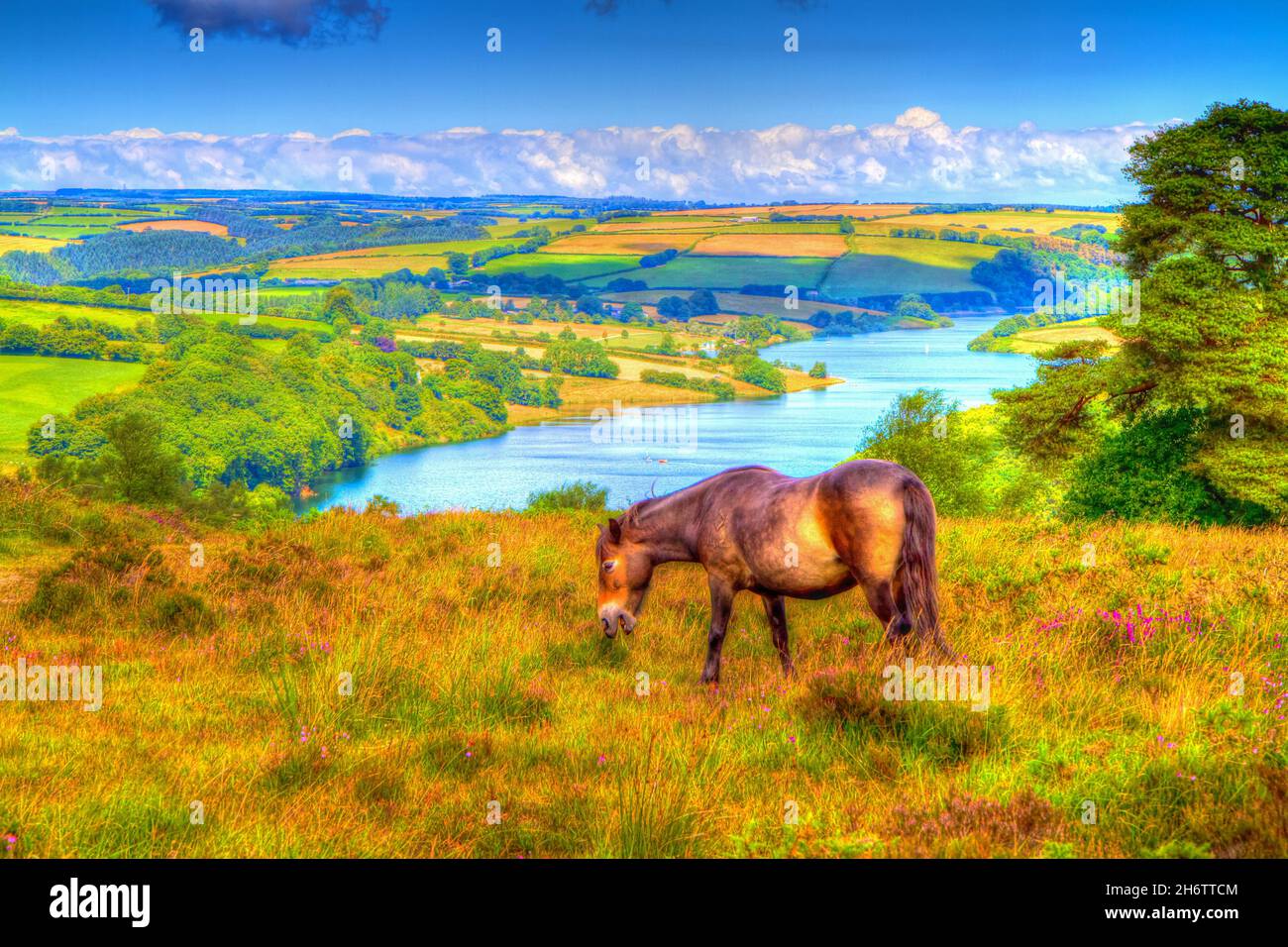Exmoor National Park Somerset countryside Wimbleball Lake with pony in colourful HDR Stock Photo