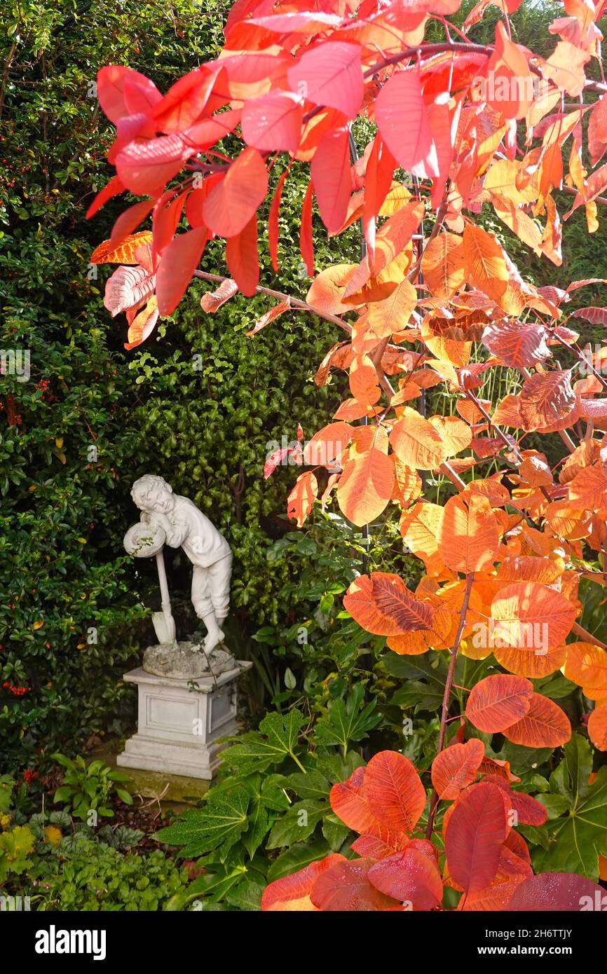 A little boy sleeping statue in English back garden amongst bush plants including deciduous autumn colour of Cotinus variety Royal Purple England UK Stock Photo