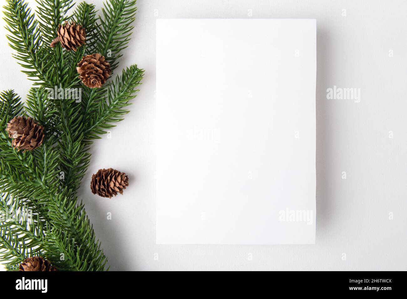 christmas 5x7 empty card mockup with Christmas tree twigs on a white background Stock Photo