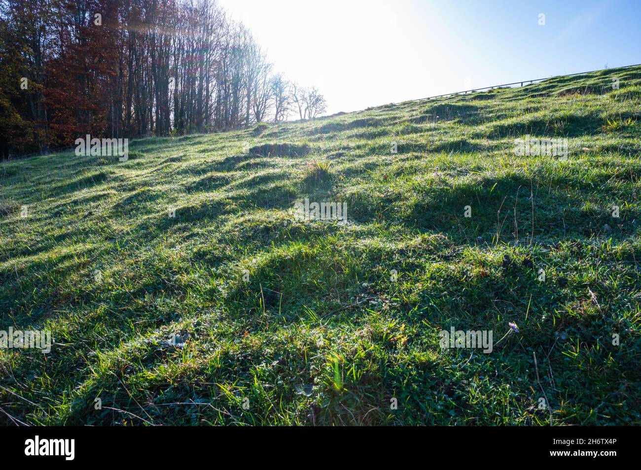 Earth or grass hummocks, undulating ground or grass knolls covered by morning frost and wet dew in Autumn, in a grassy field in the countryside, UK. Stock Photo