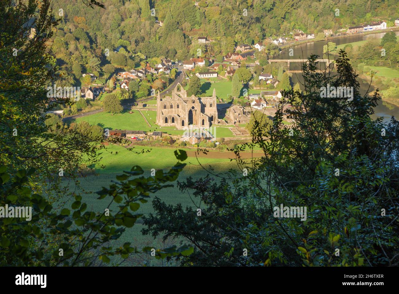 12th century ruins of Tintern Abbey (Abaty Tyndyrn) perched on the Welsh bank of the river Wye, Tintern Monmouthshire UK. October 2021. Stock Photo