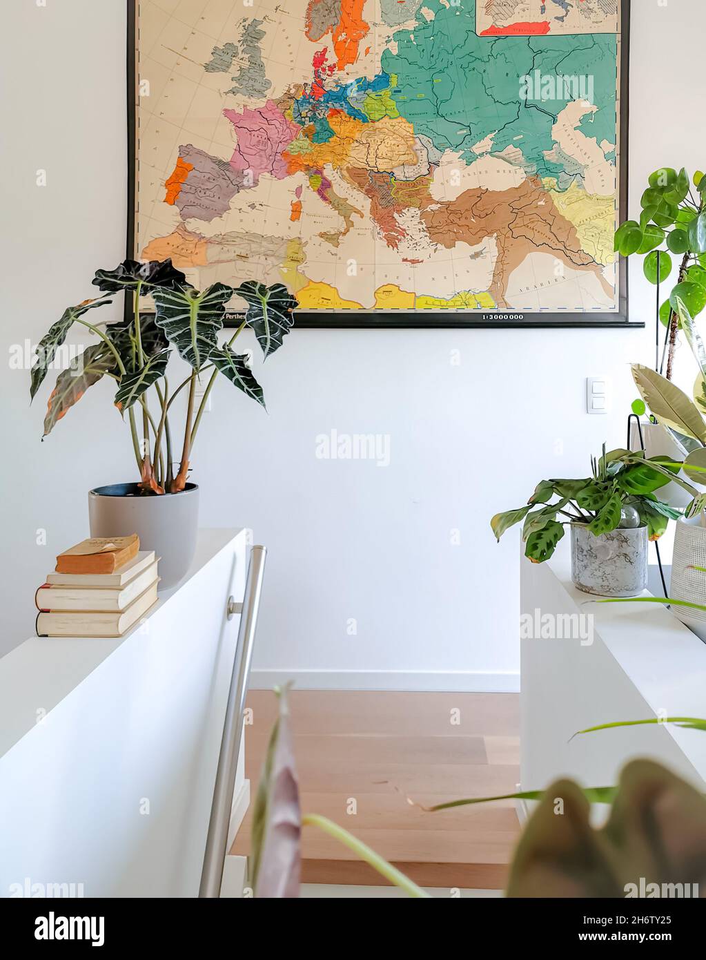 Retro library interior with multiple plants and large vintage poster ...