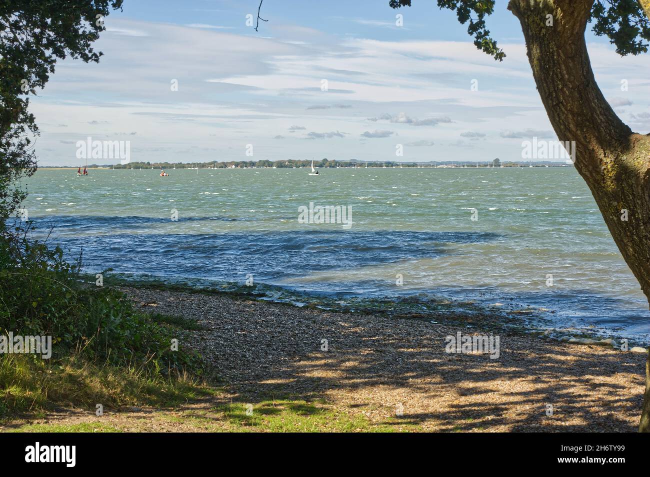 Coastline at Chichester Harbour, Ichenor in West Sussex, England Stock Photo