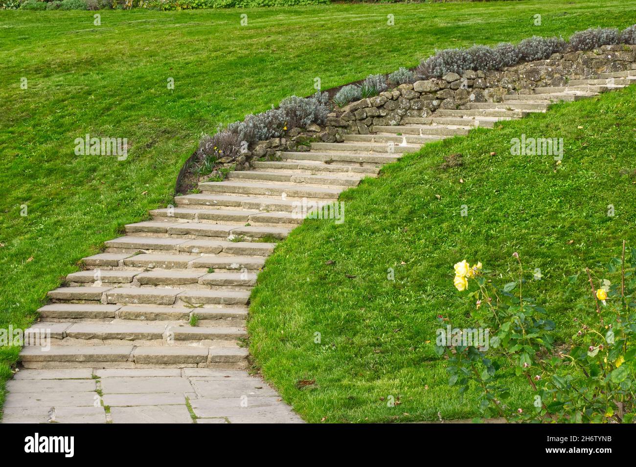 Garden stairway made of stone and curving up hill on grass lawn. Stock Photo