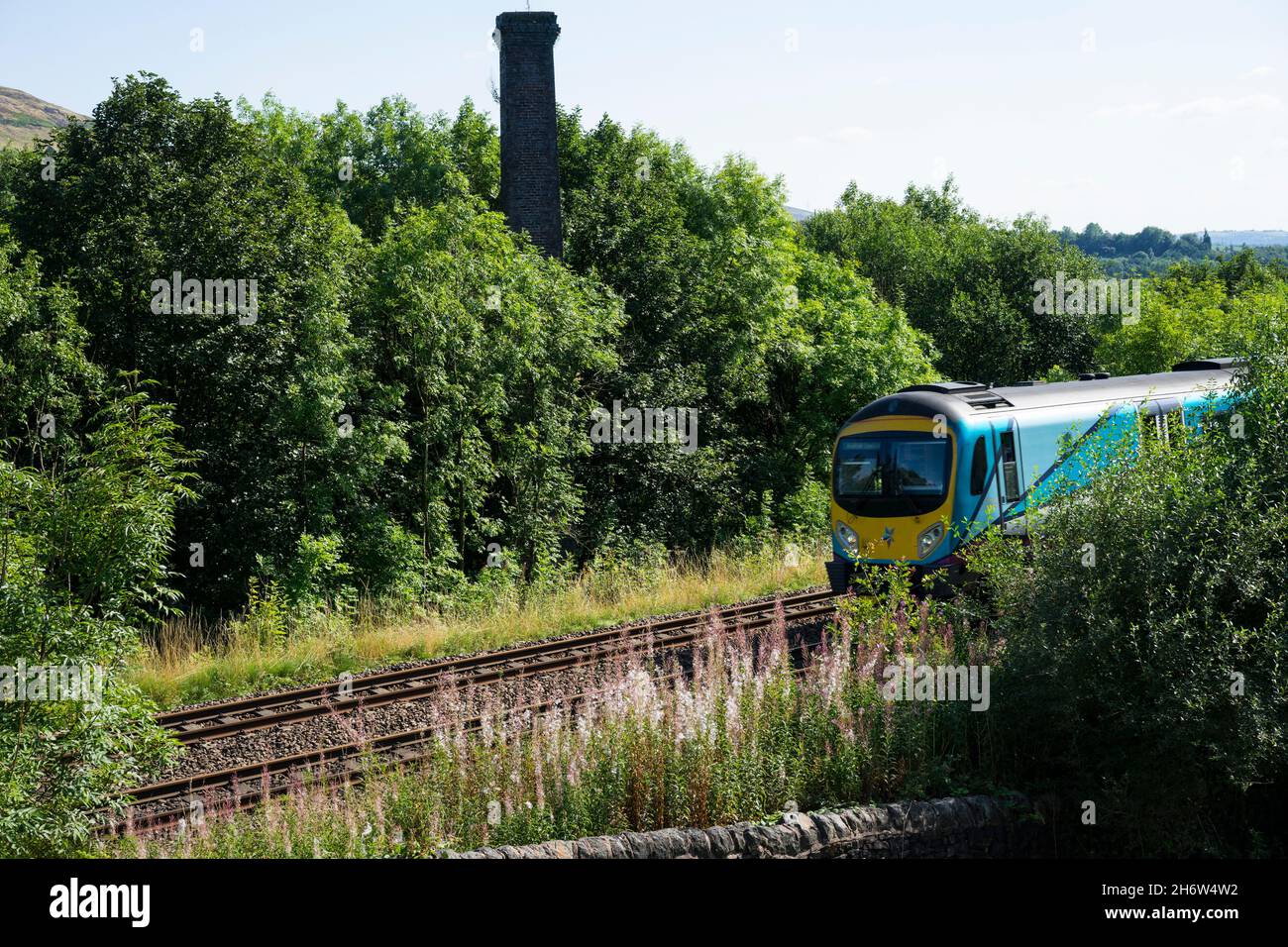 Trans-Pennine Express going through a wooded area near Crasscroft, Oldham, Saddleworth, Greater Manchester, England, UK. Stock Photo