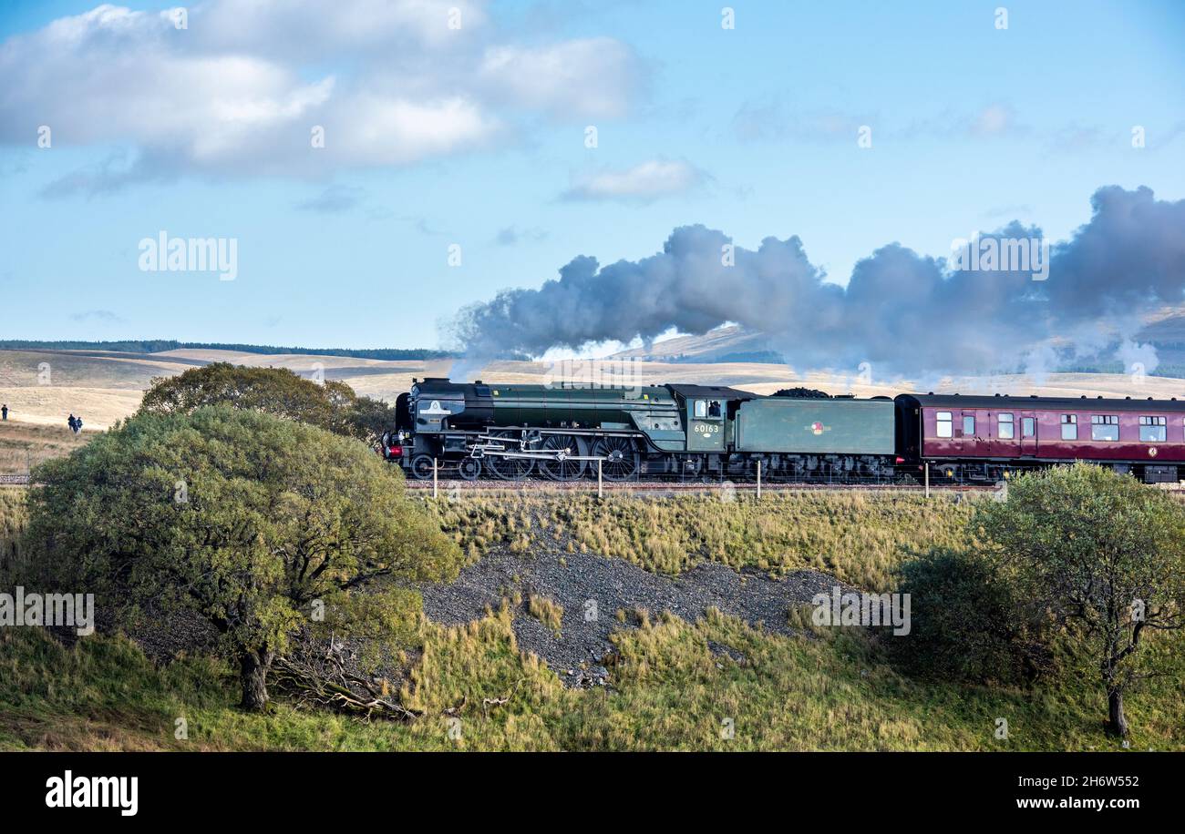 The Peppercorn A1 Pacific class 60163 Tornado steam locomotive hauls a train over the Ribblehead viaduct in the Yorkshire Dales. Pen-y-ghent or Penygh Stock Photo