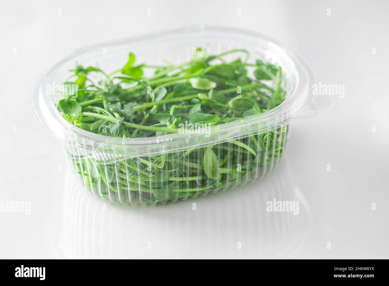 Fresh raw Microgreen sprouts baby beans pea and sunflower in box on white background. Stock Photo