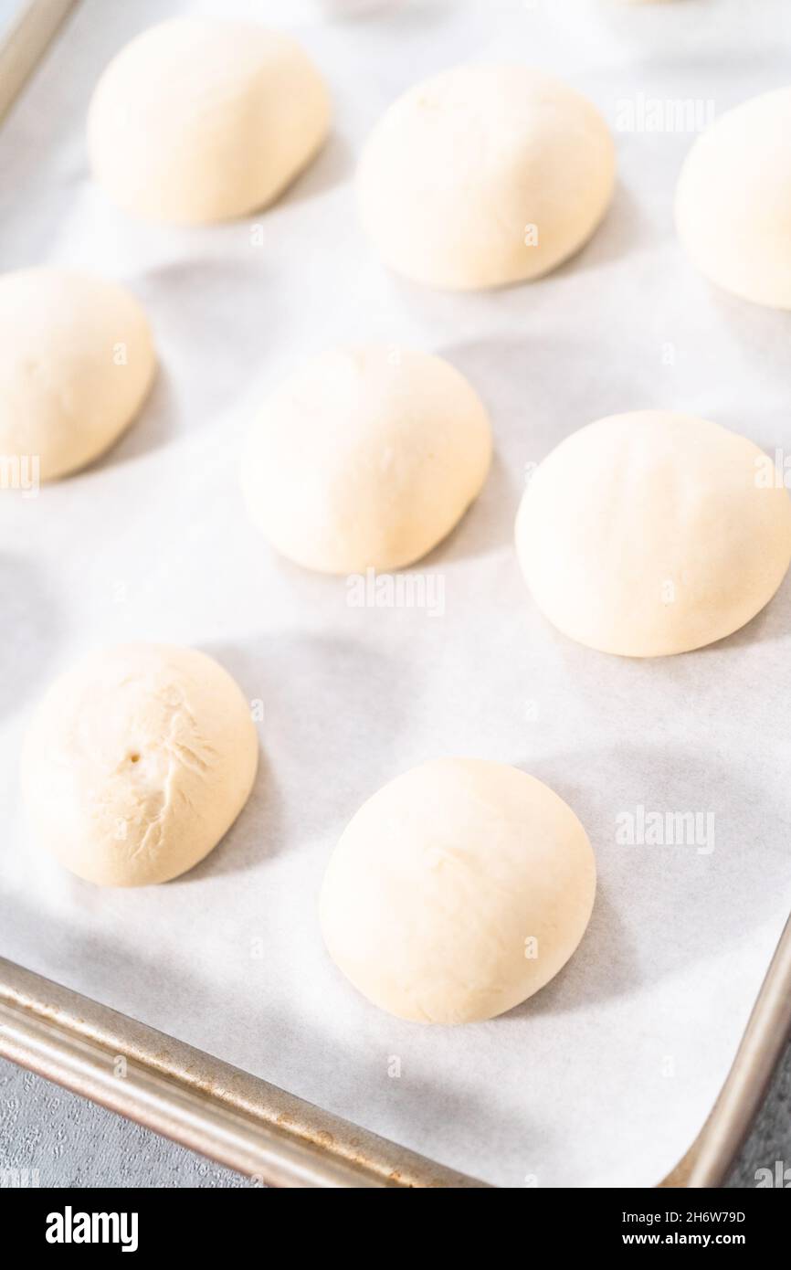 Risen dinner rolls on a baking sheet lined with parchment paper before
