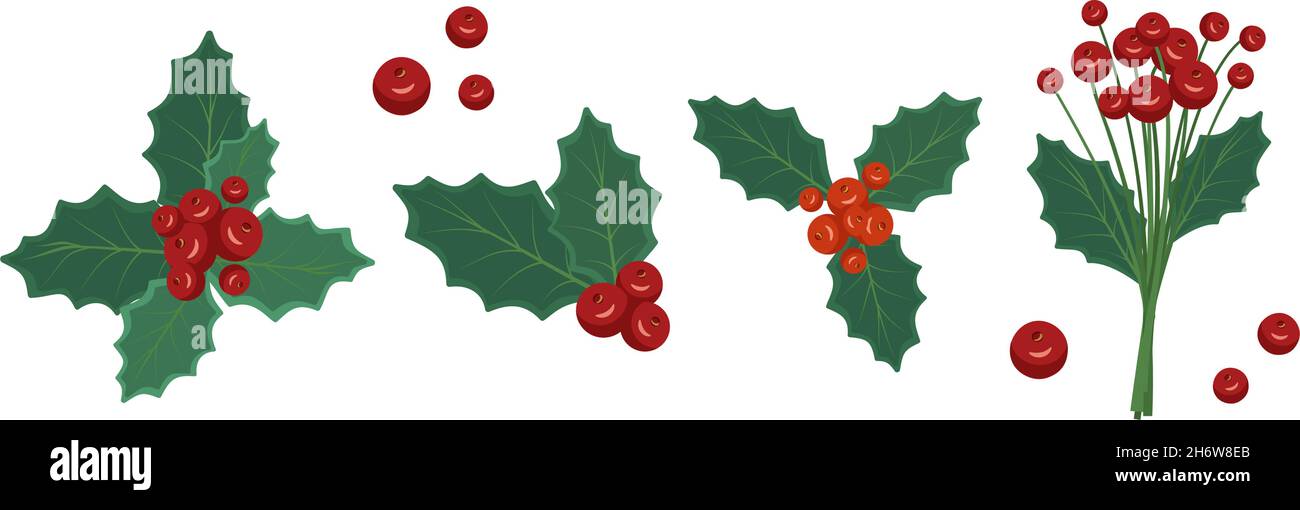 Set of festive decorations from twigs with red berries and holly leaves ...