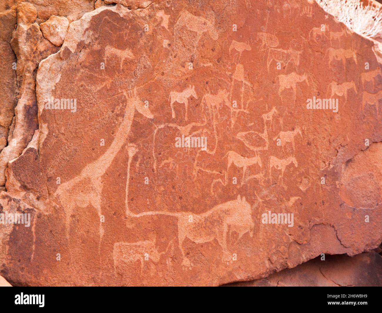 Prehistoric Bushman engravings at Twyfelfontein in Namibia Stock Photo