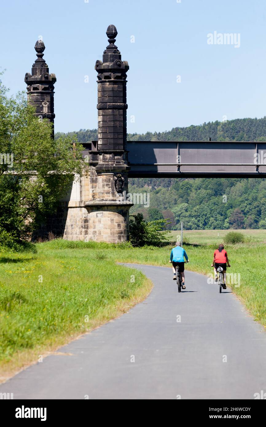 A bike path through the Elbe valley river Germany Europe Bikers riding away Stock Photo