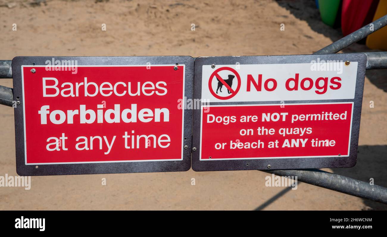 Cornwall, England, UK. 2021. Barbecues and dogs  forbidden red and white sign at entrance to a Cornish beach. Stock Photo