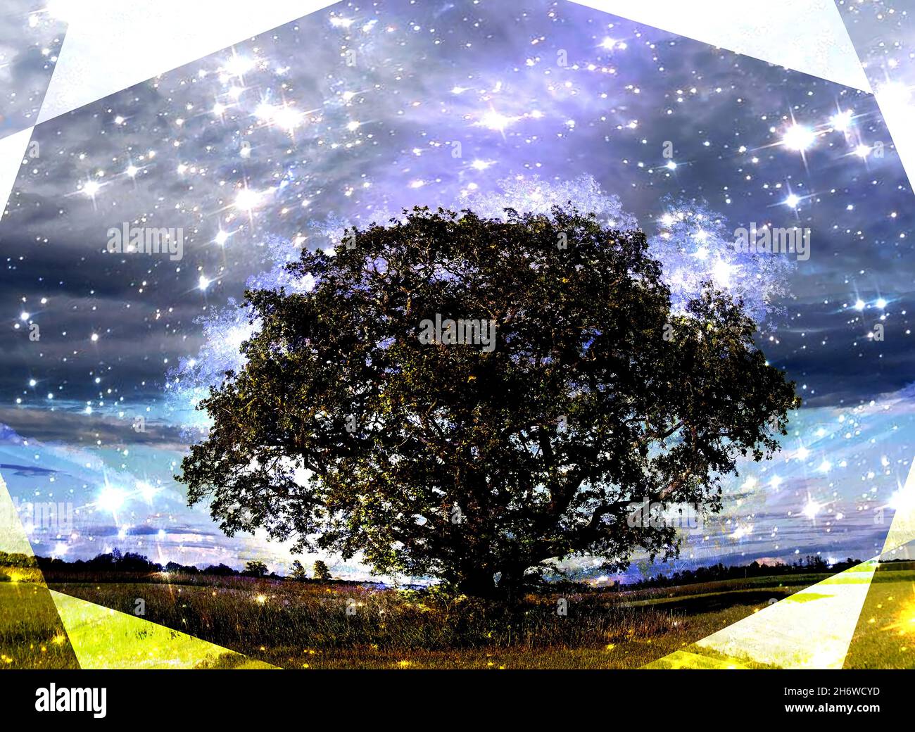 The Druid #39 s Sacred Tree and Magic Elements of this image furnished by