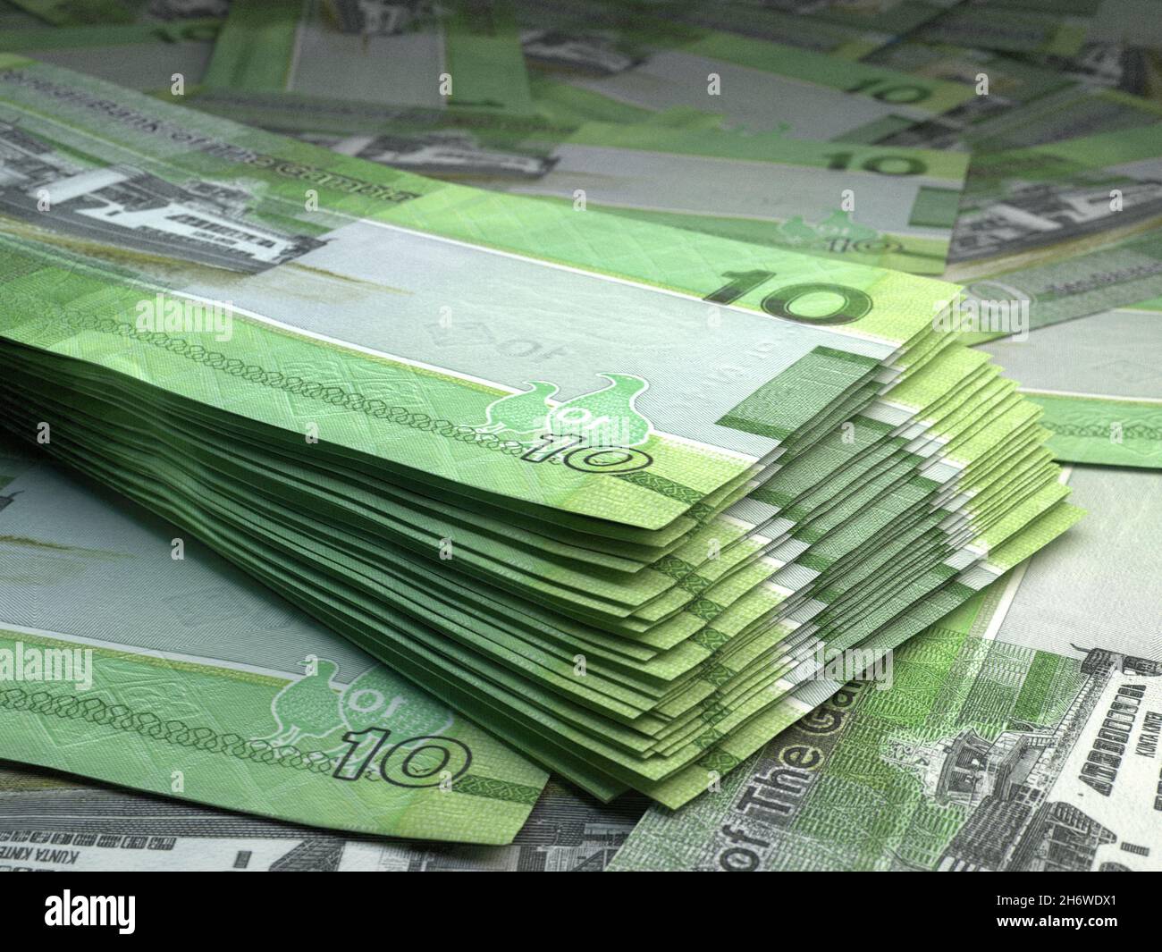 Money of Gambia. Gambian dalasi bills. GMD banknotes. 10 dalasis