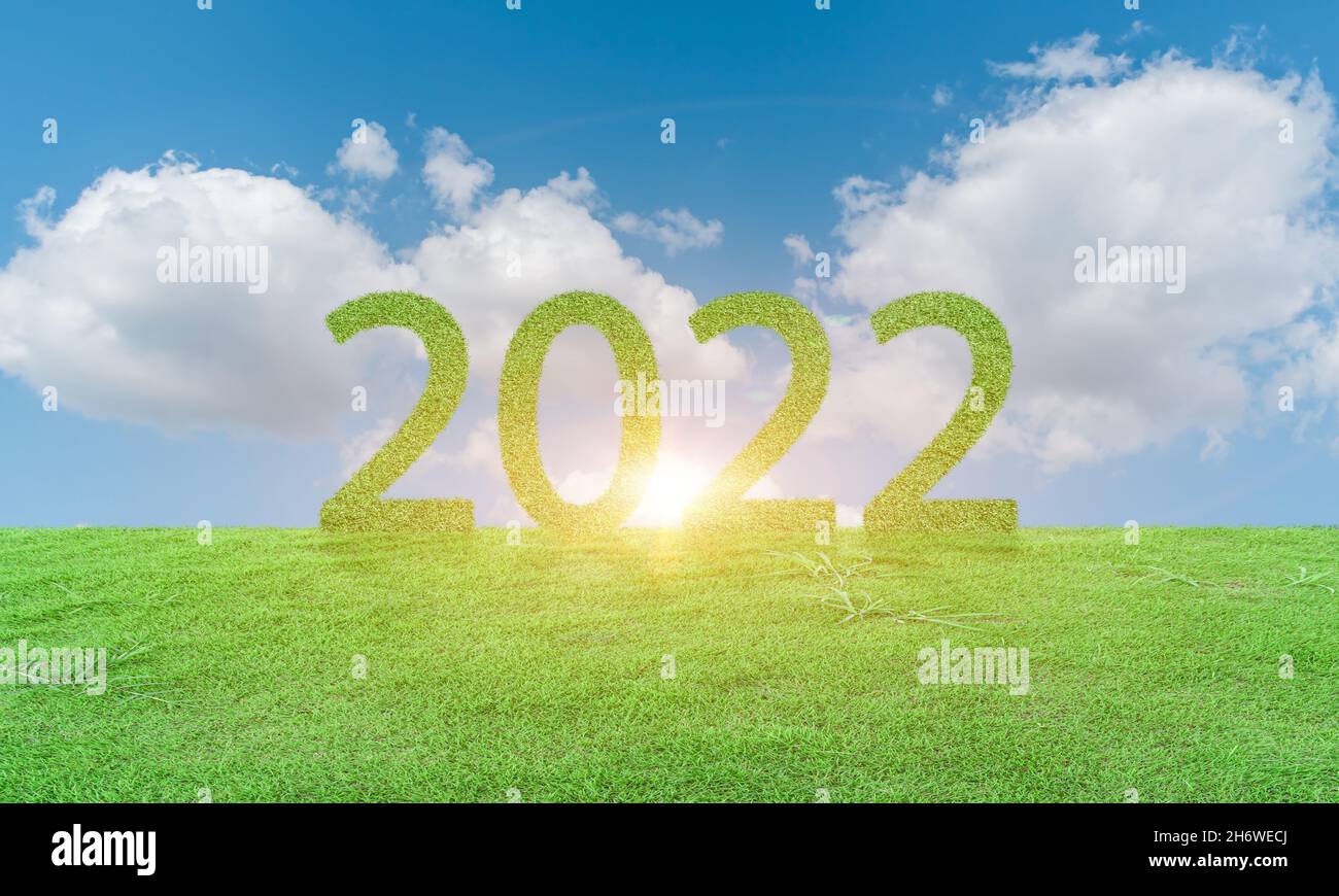Chào đón năm mới 2022 với khối lượng tươi mới, nghĩa là sự trưởng thành, sức khỏe và năng lượng tích cực. Hãy ngồi lại và chiêm ngưỡng bức ảnh cỏ mọc tốt, với vô số tiềm năng mới cho năm mới. Hãy xem hình ảnh để cùng tận hưởng những giá trị tinh thần của năm mới.