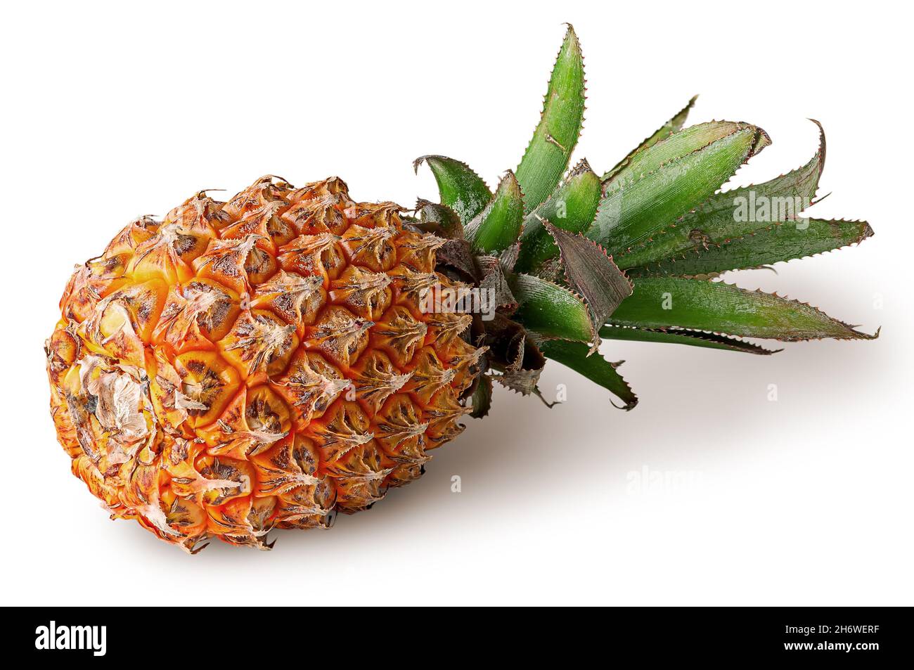 Single pineapple lies isolated on a white Stock Photo