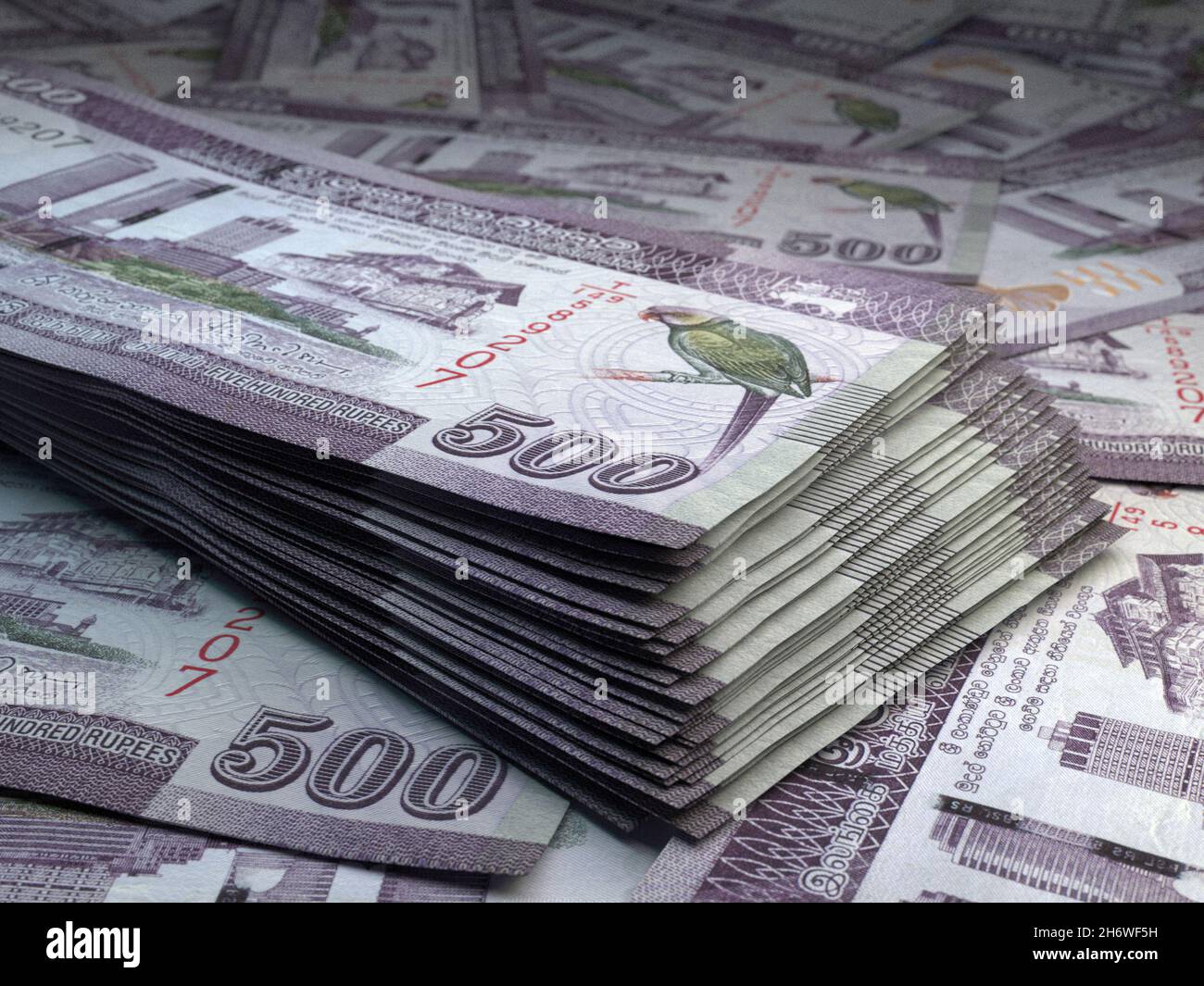 money-of-sri-lanka-rupee-bills-lkr-banknotes-500-sinhala-business