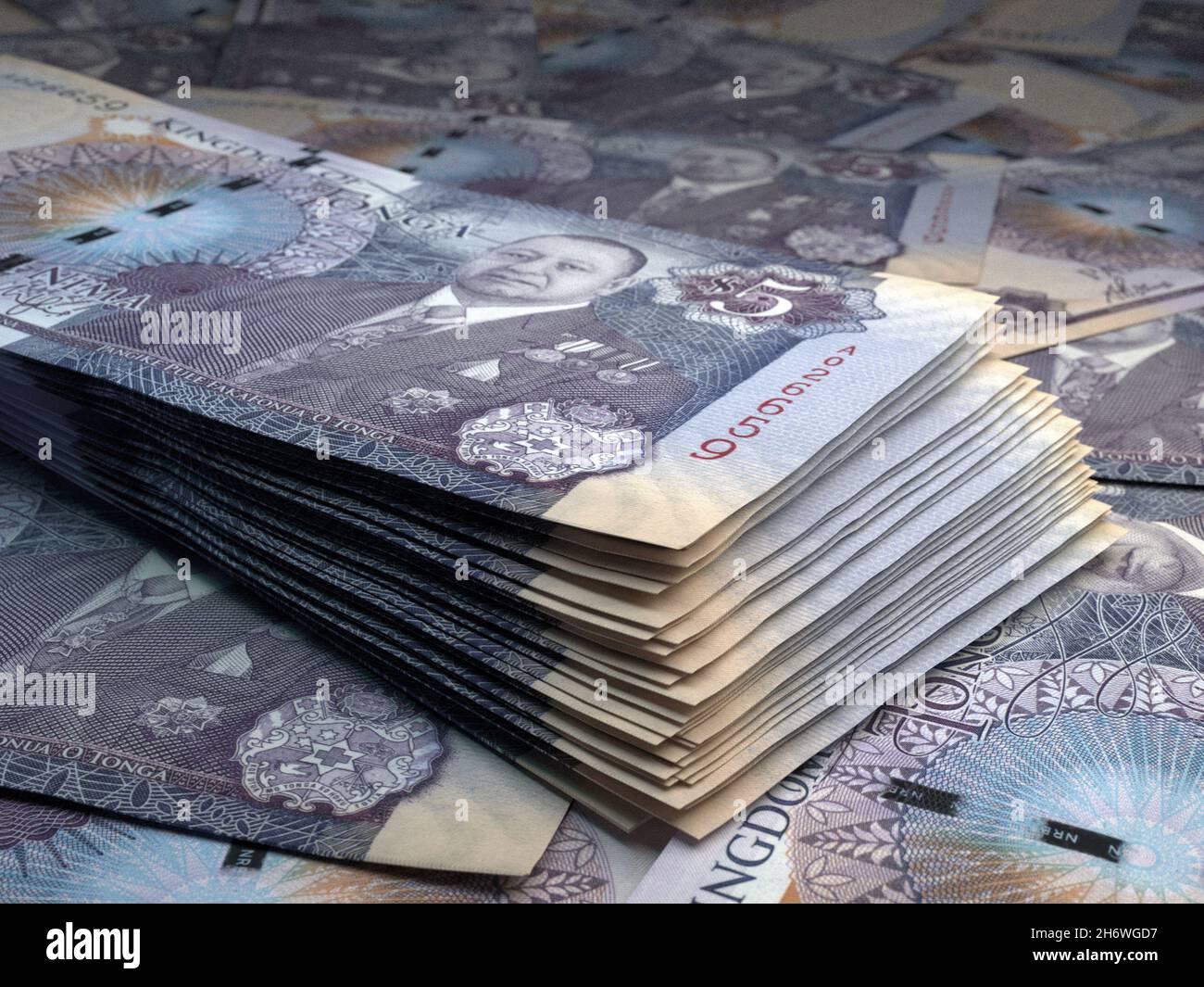 Money of Tonga. Paanga bills. TOP banknotes. 10 Tongese. Business ...