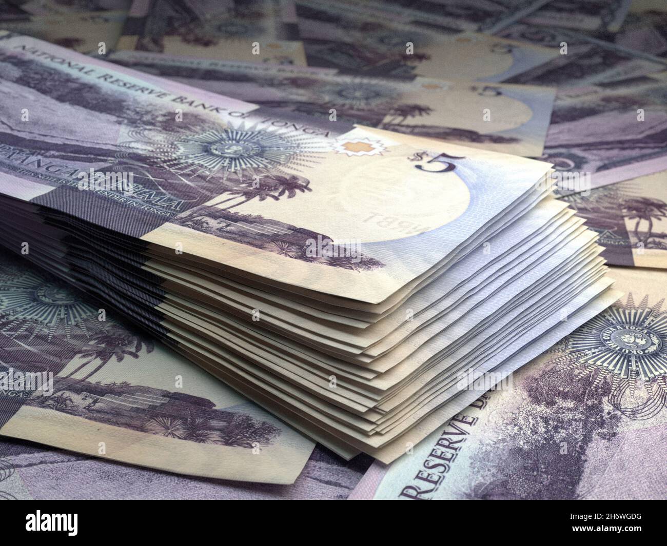 Money of Tonga. Paanga bills. TOP banknotes. 10 Tongese. Business ...