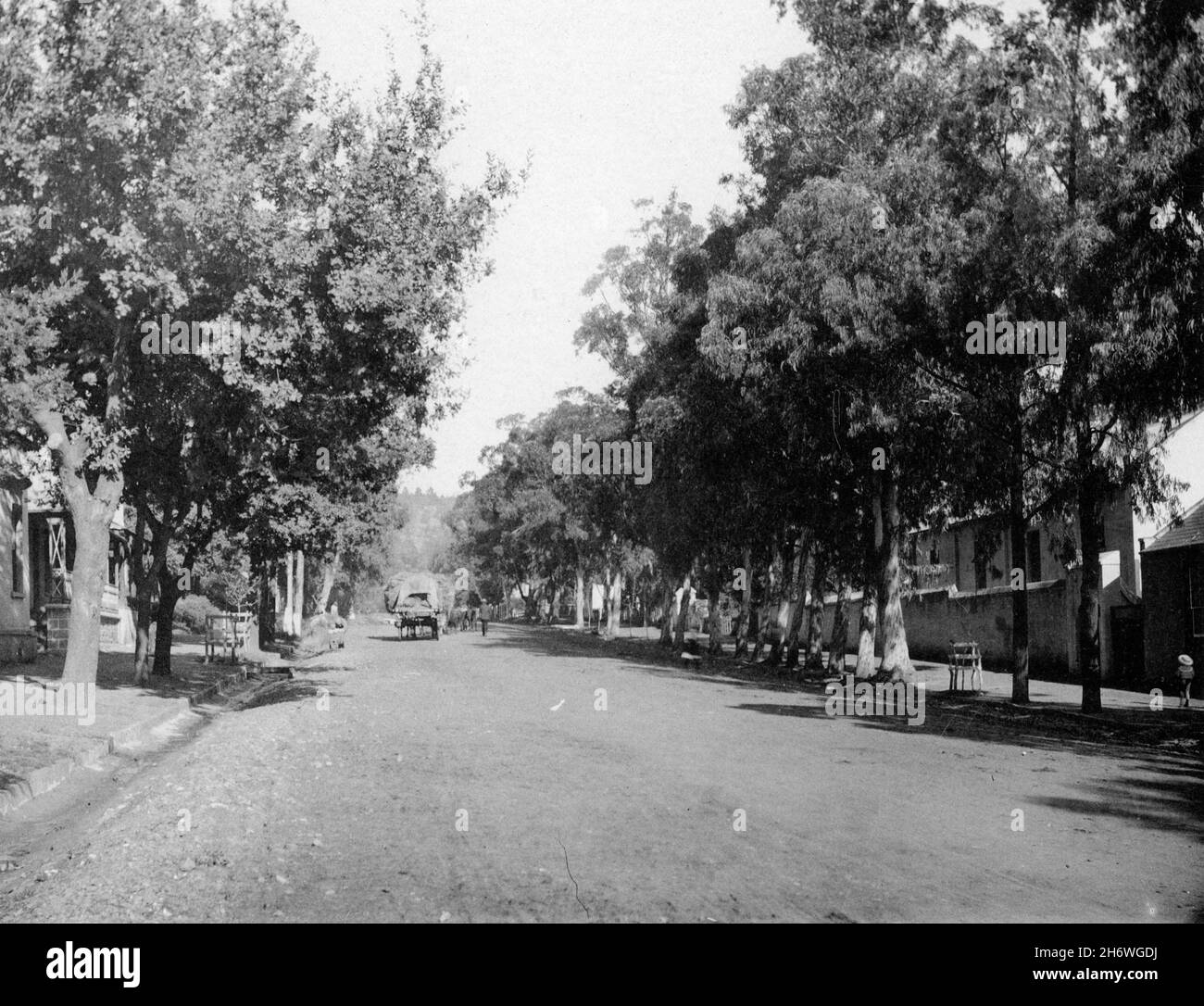 Historic image of Beaufort Street, Grahamstown, South Africa, photographed in the 1890s Stock