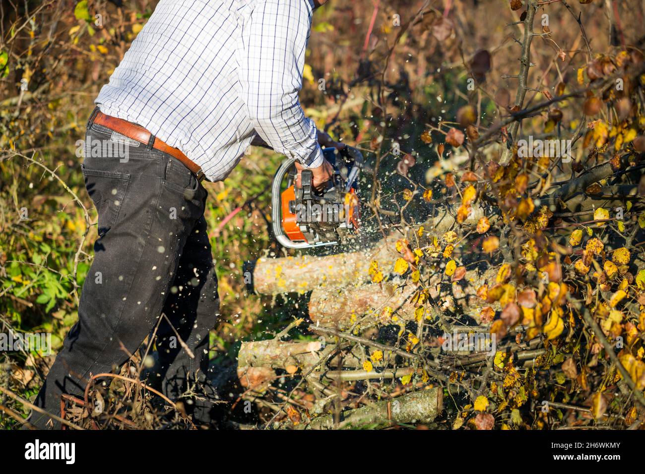 Figure of a man cutting trees and bushes with a petrol chainsaw to