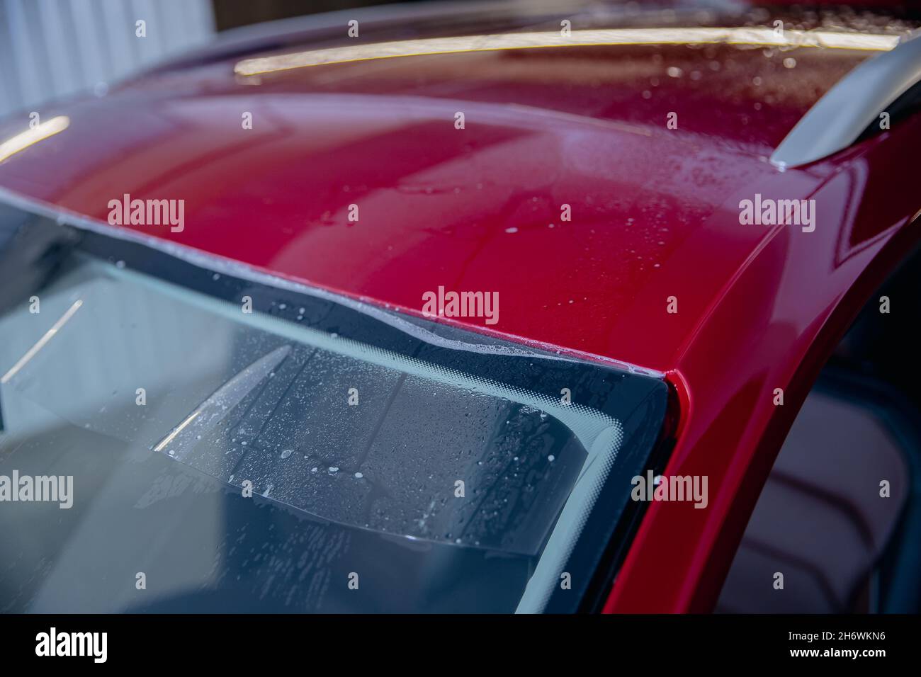 Master man installs strip of vinyl film in risk zone of windshield to