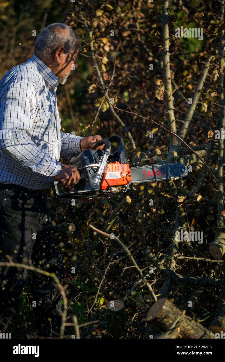 Figure of a man cutting trees and bushes with a petrol chainsaw to