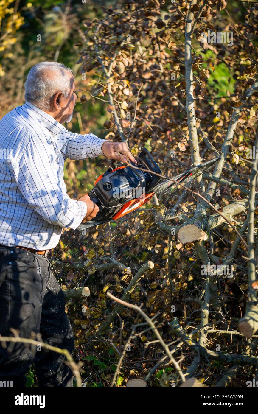 Figure of a man cutting trees and bushes with a petrol chainsaw to