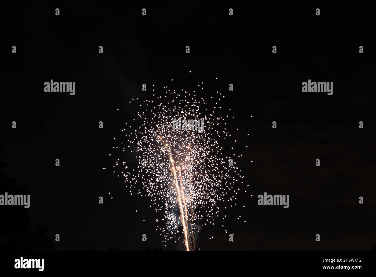 A fireworks bursts in the night sky resembling a dandelion puff above