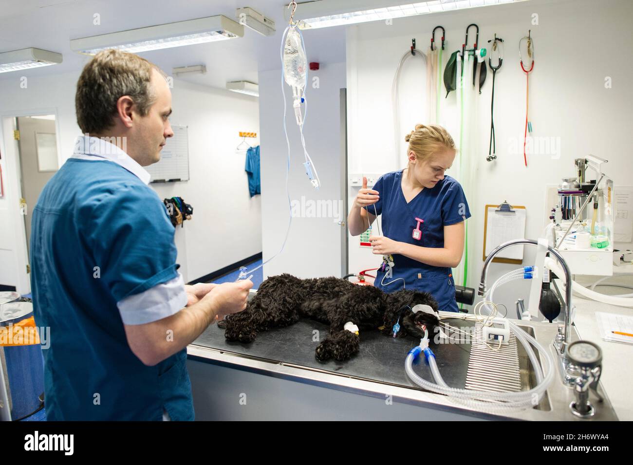 Anaesthetic nurse hires stock photography and images Alamy